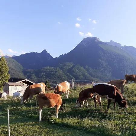 Klettnerlehen In Ramsau 아파트
