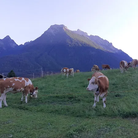 Klettnerlehen In Ramsau 람사우