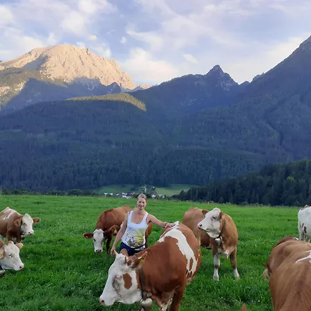 Klettnerlehen In Ramsau 아파트