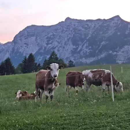 Klettnerlehen In Ramsau 람사우